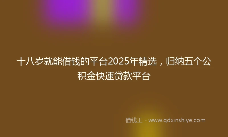 十八岁就能借钱的平台2025年精选，归纳五个公积金快速贷款平台