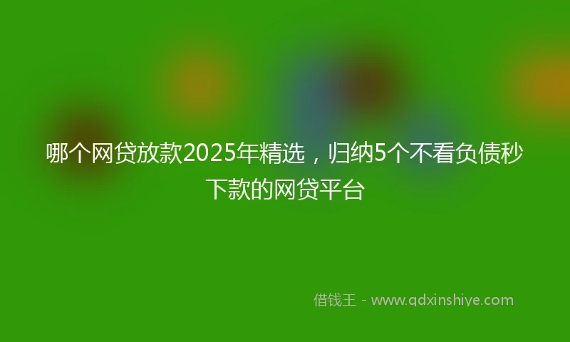 哪个网贷放款2025年精选，归纳5个不看负债秒下款的网贷平台