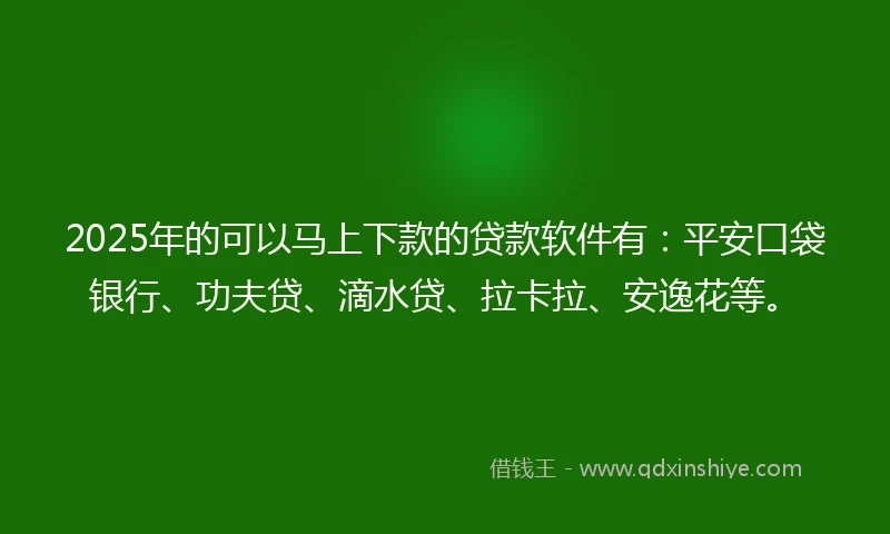 2025年的可以马上下款的贷款软件有：平安口袋银行、功夫贷、滴水贷、拉卡拉、安逸花等。