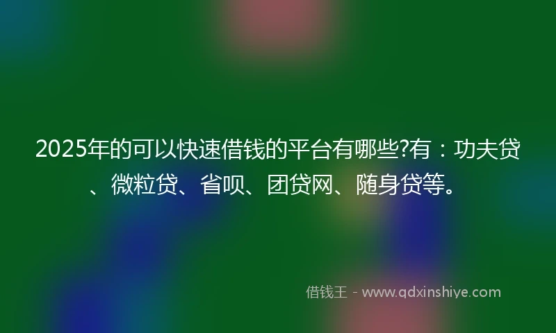 2025年的可以快速借钱的平台有哪些?有：功夫贷、微粒贷、省呗、团贷网、随身贷等。