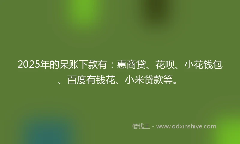 2025年的呆账下款有：惠商贷、花呗、小花钱包、百度有钱花、小米贷款等。