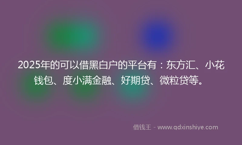 2025年的可以借黑白户的平台有：东方汇、小花钱包、度小满金融、好期贷、微粒贷等。