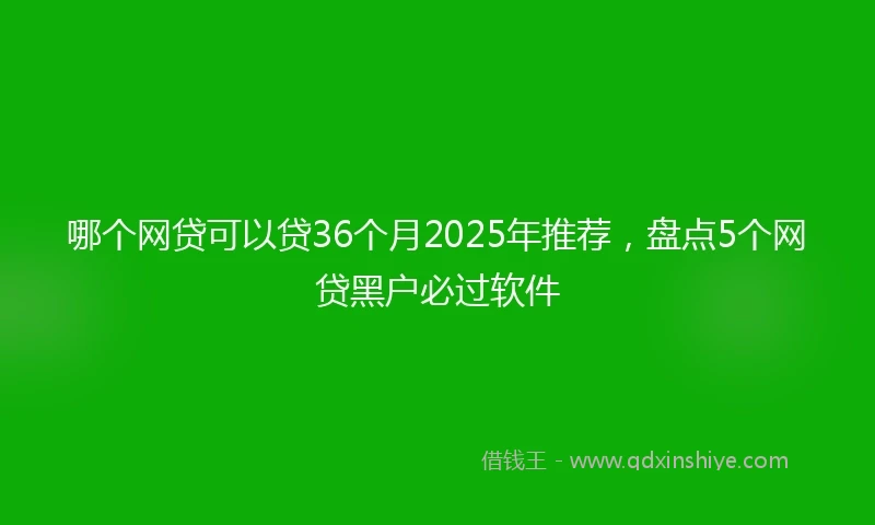 哪个网贷可以贷36个月2025年推荐，盘点5个网贷黑户必过软件