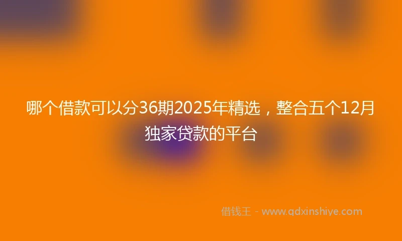 哪个借款可以分36期2025年精选，整合五个12月独家贷款的平台