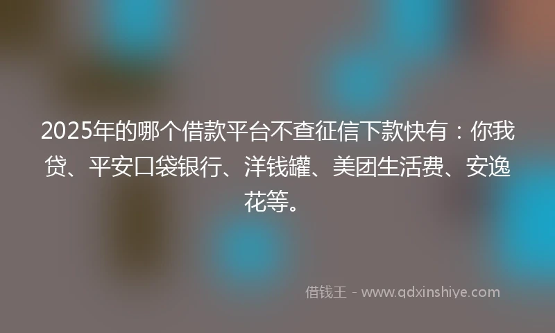 2025年的哪个借款平台不查征信下款快有：你我贷、平安口袋银行、洋钱罐、美团生活费、安逸花等。