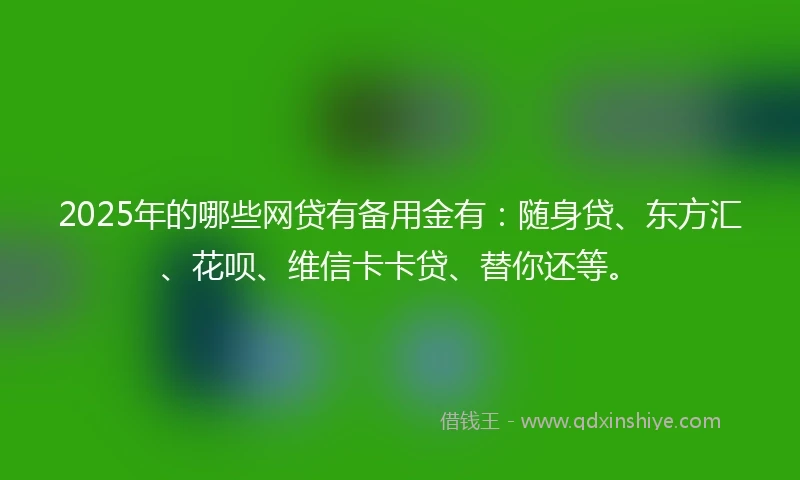2025年的哪些网贷有备用金有：随身贷、东方汇、花呗、维信卡卡贷、替你还等。