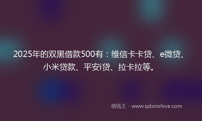 2025年的双黑借款500有：维信卡卡贷、e微贷、小米贷款、平安i贷、拉卡拉等。