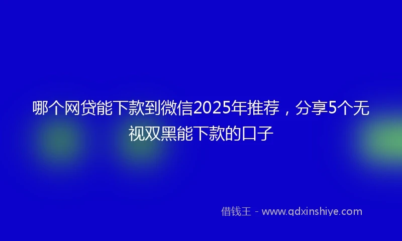 哪个网贷能下款到微信2025年推荐，分享5个无视双黑能下款的口子