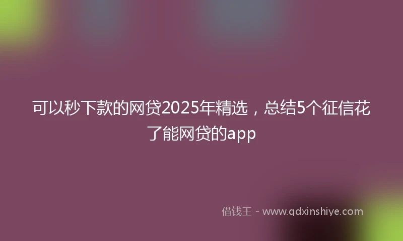 可以秒下款的网贷2025年精选，总结5个征信花了能网贷的app