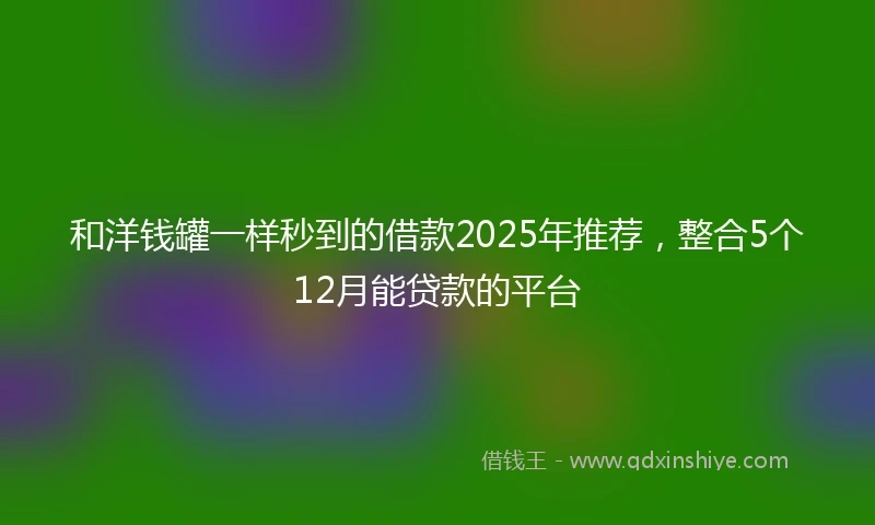 和洋钱罐一样秒到的借款2025年推荐，整合5个12月能贷款的平台