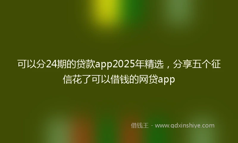 可以分24期的贷款app2025年精选，分享五个征信花了可以借钱的网贷app