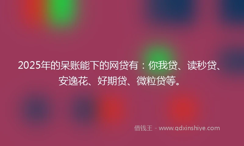 2025年的呆账能下的网贷有：你我贷、读秒贷、安逸花、好期贷、微粒贷等。