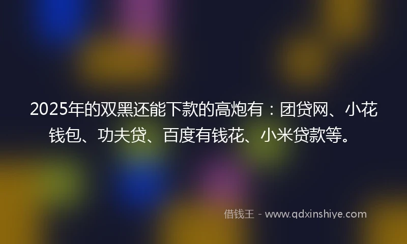 2025年的双黑还能下款的高炮有：团贷网、小花钱包、功夫贷、百度有钱花、小米贷款等。