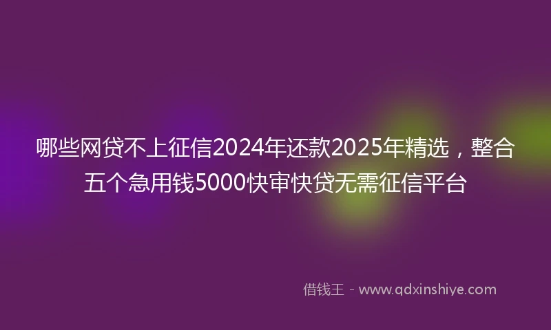 哪些网贷不上征信2024年还款2025年精选，整合五个急用钱5000快审快贷无需征信平台