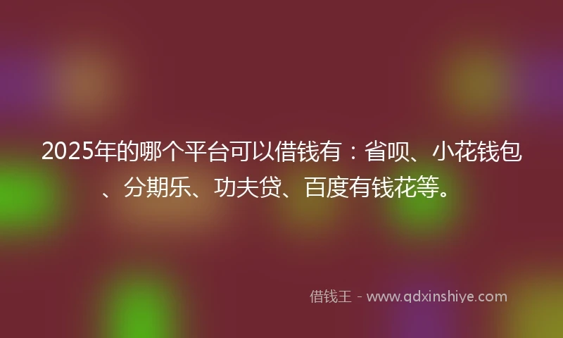 2025年的哪个平台可以借钱有：省呗、小花钱包、分期乐、功夫贷、百度有钱花等。