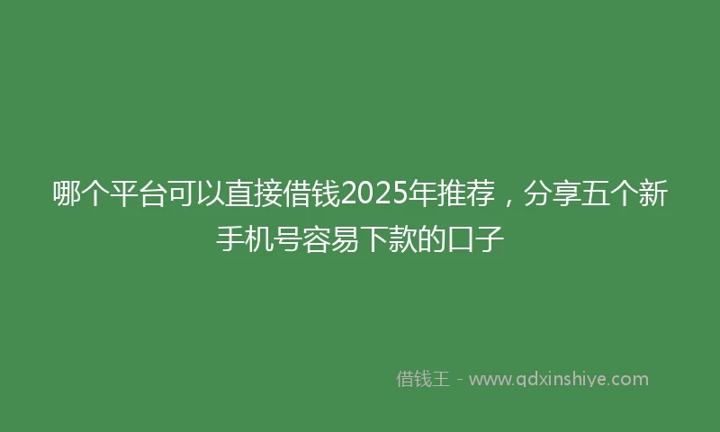 哪个平台可以直接借钱2025年推荐，分享五个新手机号容易下款的口子