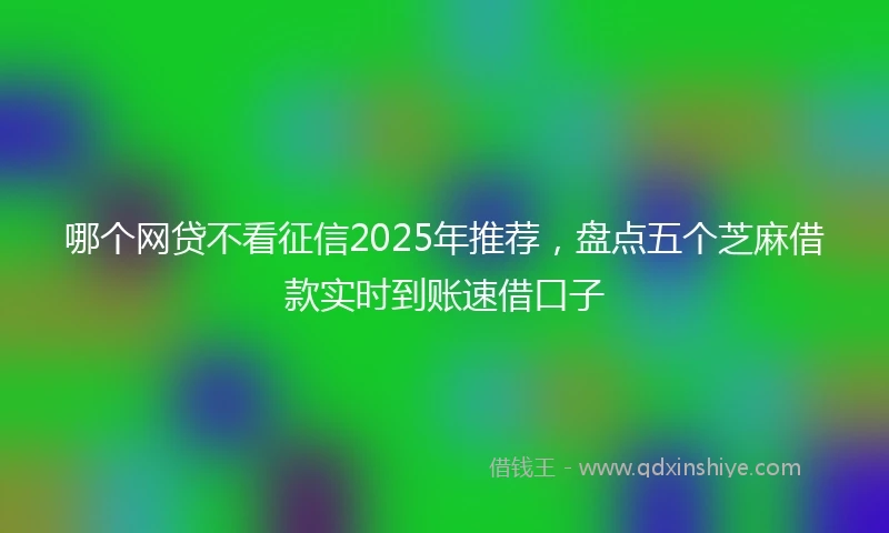 哪个网贷不看征信2025年推荐，盘点五个芝麻借款实时到账速借口子