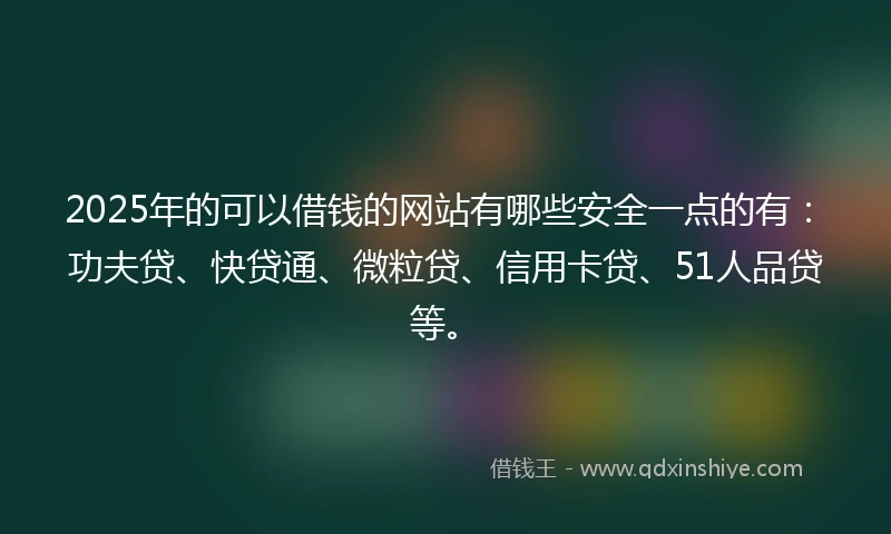 2025年的可以借钱的网站有哪些安全一点的有：功夫贷、快贷通、微粒贷、信用卡贷、51人品贷等。