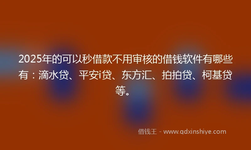 2025年的可以秒借款不用审核的借钱软件有哪些有：滴水贷、平安i贷、东方汇、拍拍贷、柯基贷等。