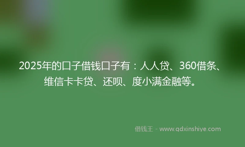 2025年的口子借钱口子有：人人贷、360借条、维信卡卡贷、还呗、度小满金融等。