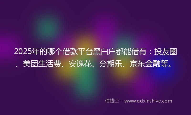 2025年的哪个借款平台黑白户都能借有：投友圈、美团生活费、安逸花、分期乐、京东金融等。