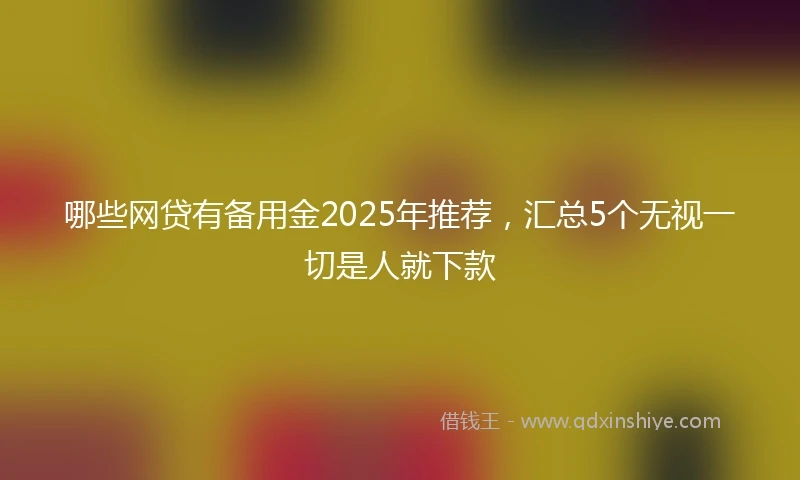 哪些网贷有备用金2025年推荐，汇总5个无视一切是人就下款