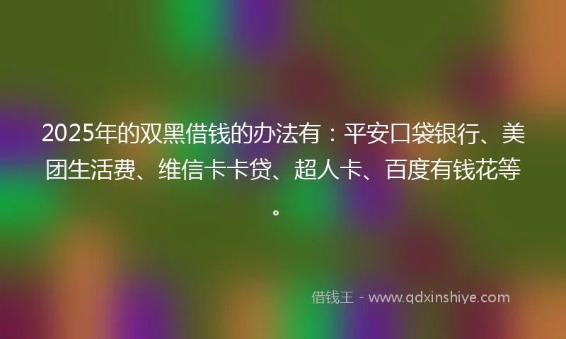 2025年的双黑借钱的办法有：平安口袋银行、美团生活费、维信卡卡贷、超人卡、百度有钱花等。
