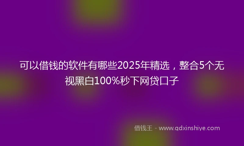 可以借钱的软件有哪些2025年精选，整合5个无视黑白100%秒下网贷口子