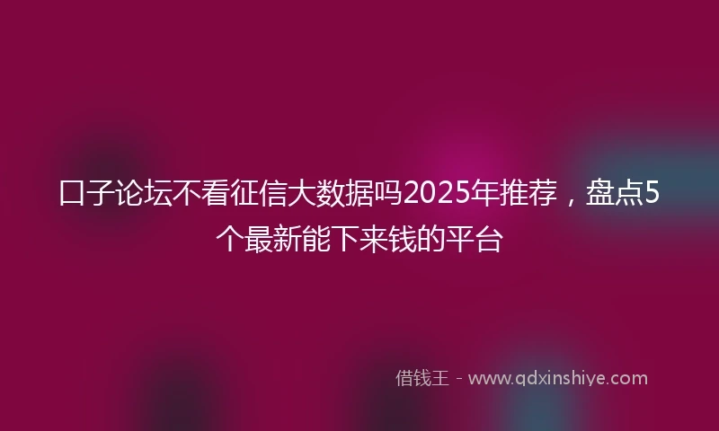口子论坛不看征信大数据吗2025年推荐，盘点5个最新能下来钱的平台