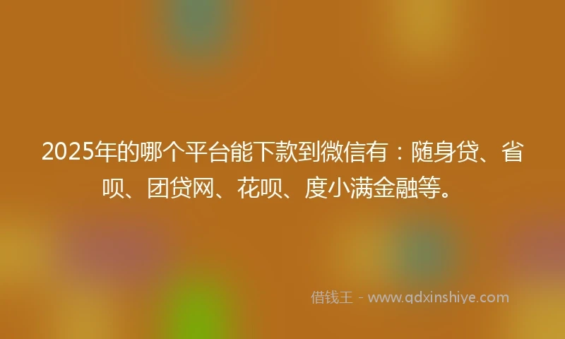 2025年的哪个平台能下款到微信有：随身贷、省呗、团贷网、花呗、度小满金融等。