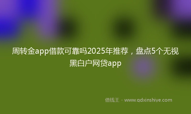 周转金app借款可靠吗2025年推荐，盘点5个无视黑白户网贷app