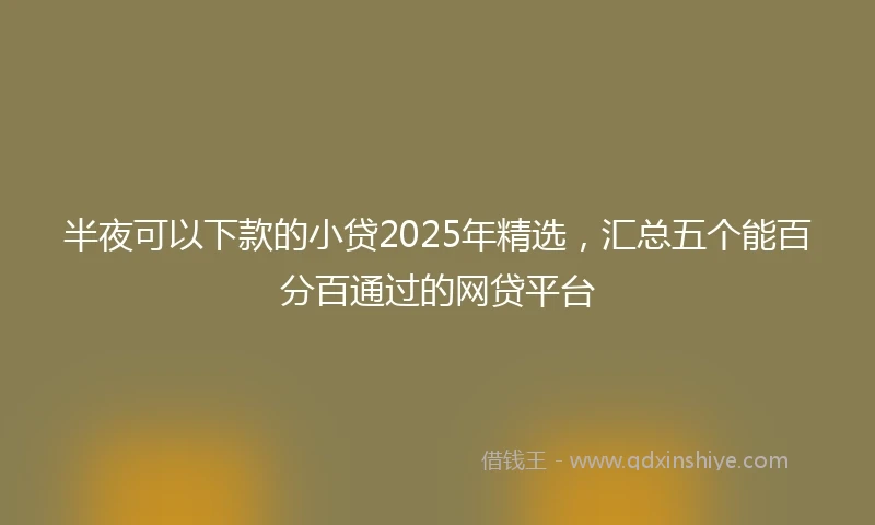 半夜可以下款的小贷2025年精选，汇总五个能百分百通过的网贷平台