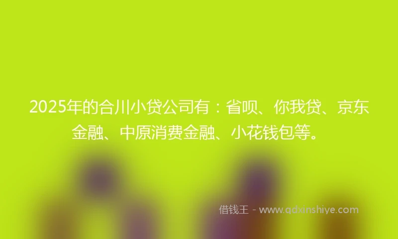 2025年的合川小贷公司有：省呗、你我贷、京东金融、中原消费金融、小花钱包等。