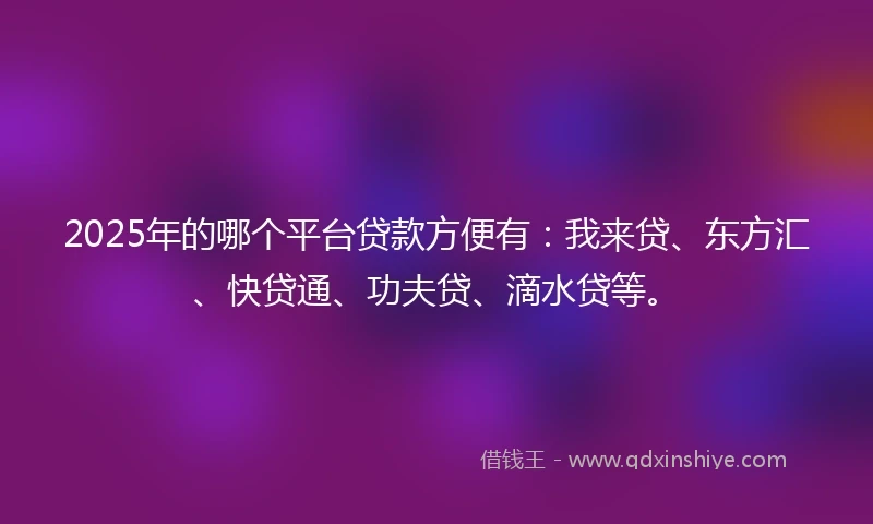 2025年的哪个平台贷款方便有：我来贷、东方汇、快贷通、功夫贷、滴水贷等。