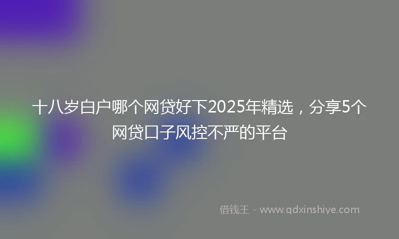 十八岁白户哪个网贷好下2025年精选,分享5个网贷口子风控不严的平台