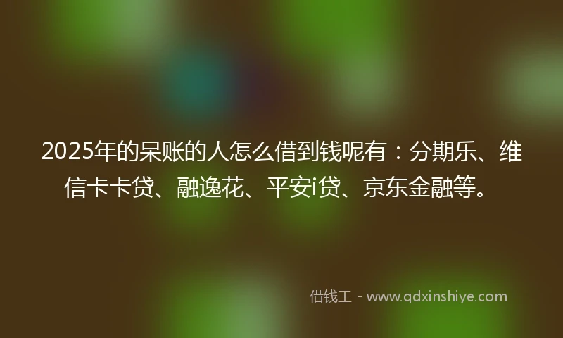 2025年的呆账的人怎么借到钱呢有：分期乐、维信卡卡贷、融逸花、平安i贷、京东金融等。