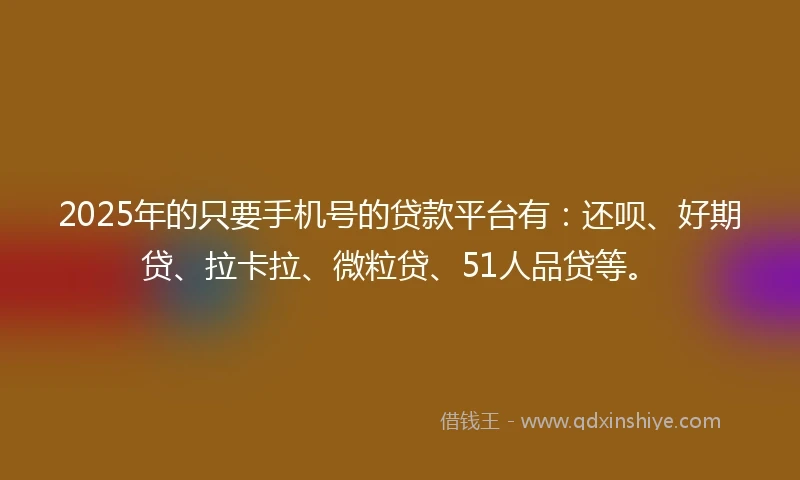 2025年的只要手机号的贷款平台有：还呗、好期贷、拉卡拉、微粒贷、51人品贷等。