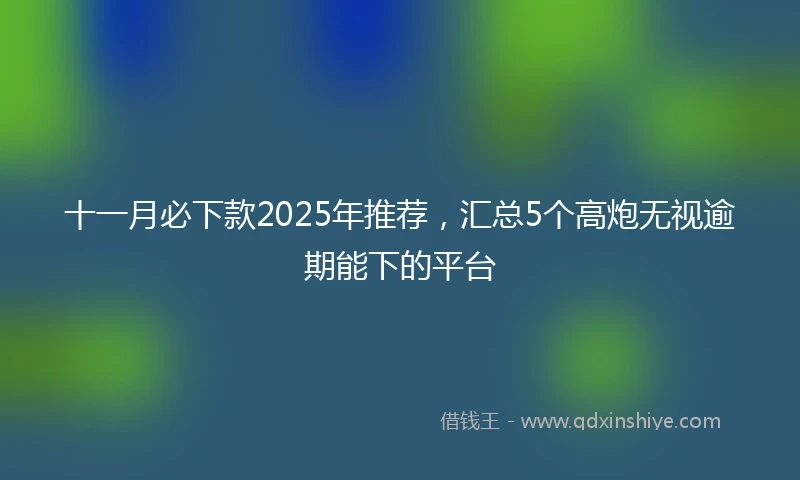 十一月必下款2025年推荐，汇总5个高炮无视逾期能下的平台