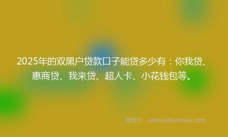 2025年的双黑户贷款口子能贷多少有：你我贷、惠商贷、我来贷、超人卡、小花钱包等。