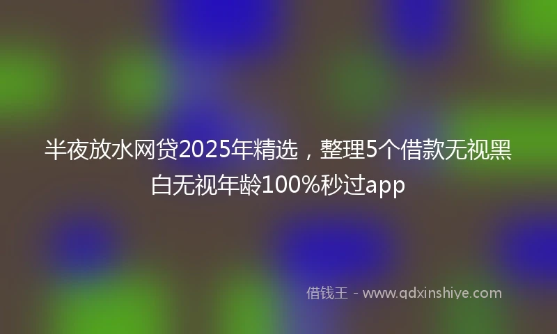 半夜放水网贷2025年精选，整理5个借款无视黑白无视年龄100%秒过app
