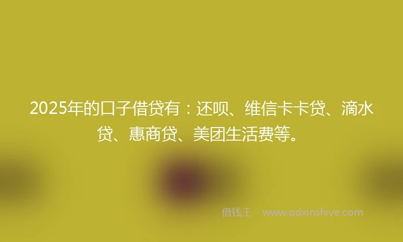 2025年的口子借贷有：还呗、维信卡卡贷、滴水贷、惠商贷、美团生活费等。