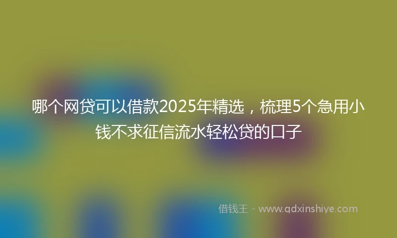 哪个网贷可以借款2025年精选，梳理5个急用小钱不求征信流水轻松贷的口子