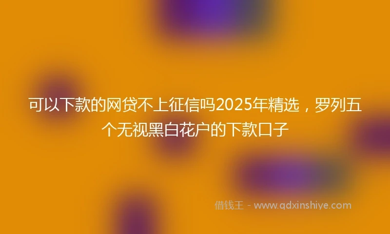 可以下款的网贷不上征信吗2025年精选,罗列五个无视黑白花户的下款口子