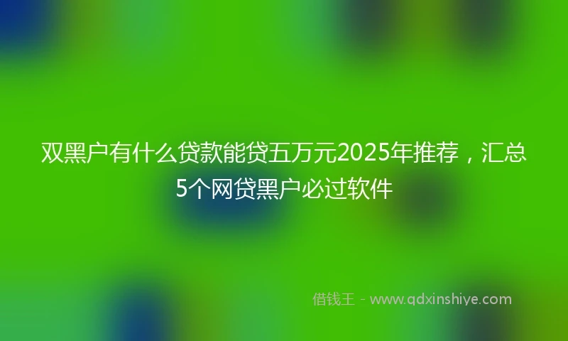 双黑户有什么贷款能贷五万元2025年推荐，汇总5个网贷黑户必过软件