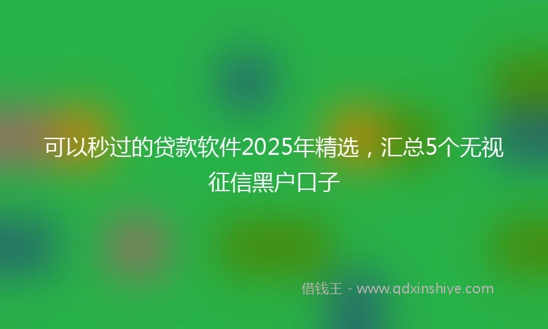 可以秒过的贷款软件2025年精选,汇总5个无视征信黑户口子