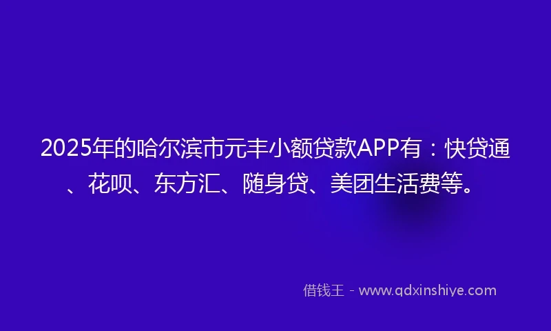 2025年的哈尔滨市元丰小额贷款APP有：快贷通、花呗、东方汇、随身贷、美团生活费等。
