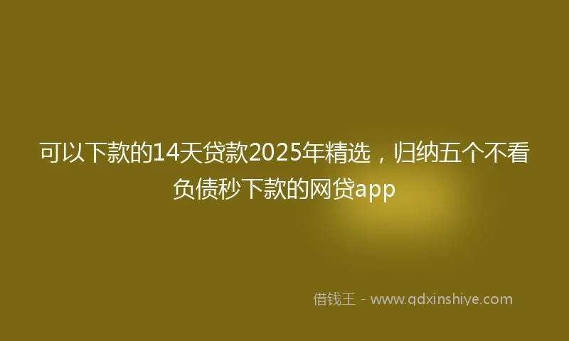 可以下款的14天贷款2025年精选，归纳五个不看负债秒下款的网贷app