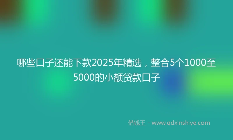 哪些口子还能下款2025年精选，整合5个1000至5000的小额贷款口子