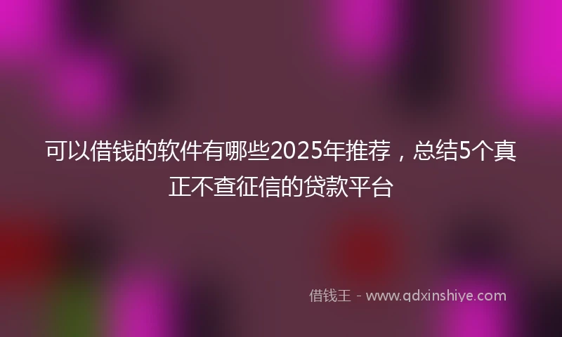 可以借钱的软件有哪些2025年推荐,总结5个真正不查征信的贷款平台