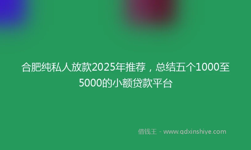 合肥纯私人放款2025年推荐，总结五个1000至5000的小额贷款平台